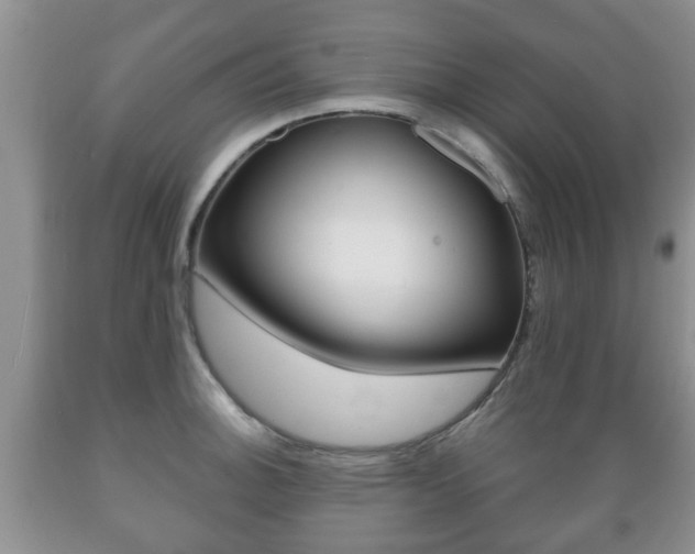 X0000089721140200706210848
