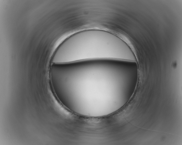 X0000089721141200706210848