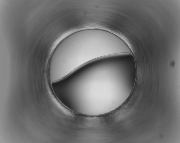 X0000089721142200706210848