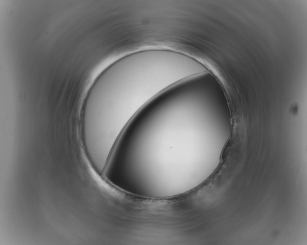 X0000089721143200706210848