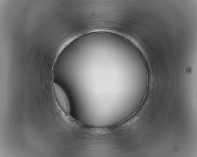 X0000089721145200706210848