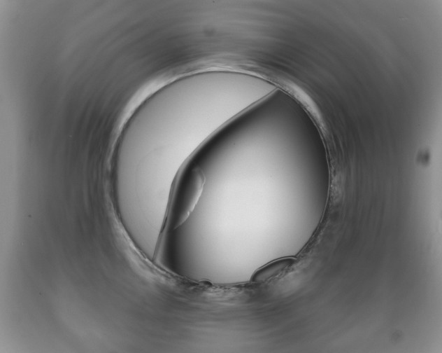 X0000089721146200706210848