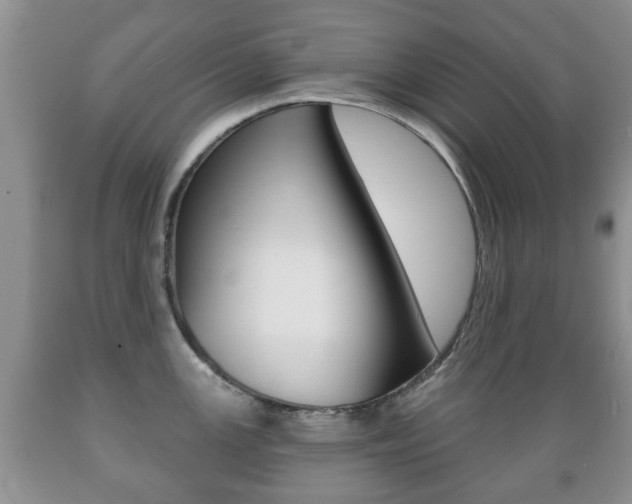 X0000089721147200706210848