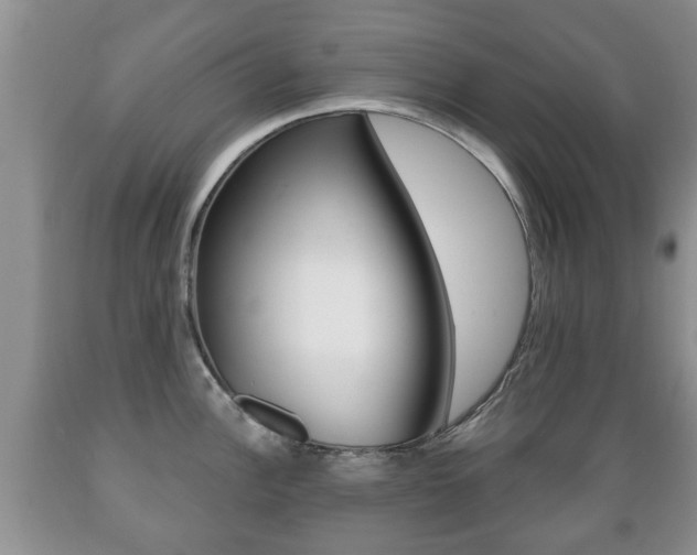 X0000089721148200706210848