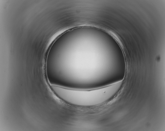 X0000089721149200706210848