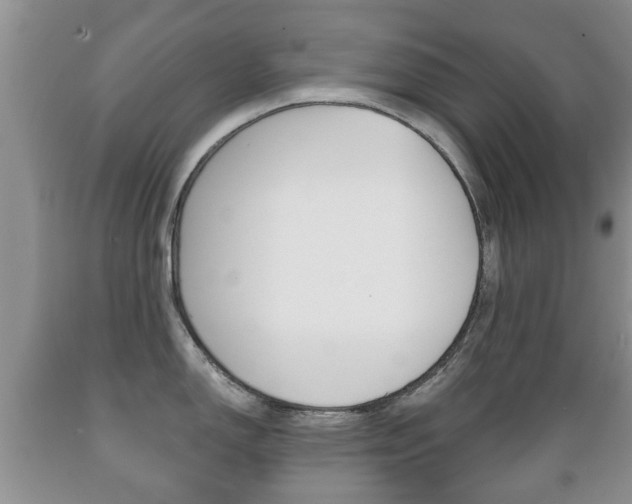 X0000089721150200706210848