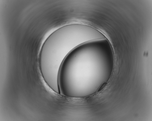 X0000089721152200706210848