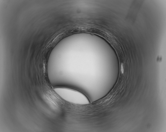 X0000089721155200706210847