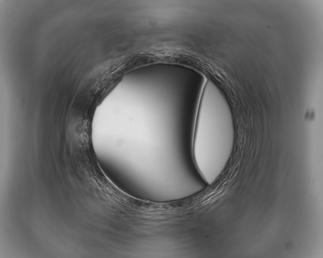 X0000089721156200706210847