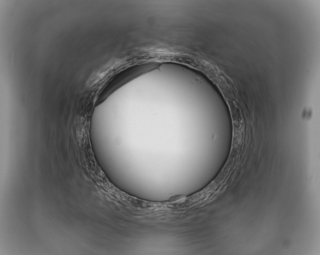 X0000089721157200706210847