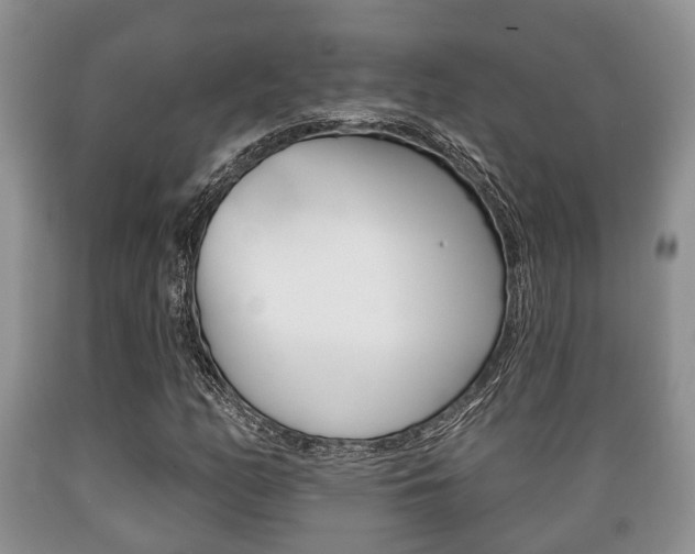 X0000089721158200706210847