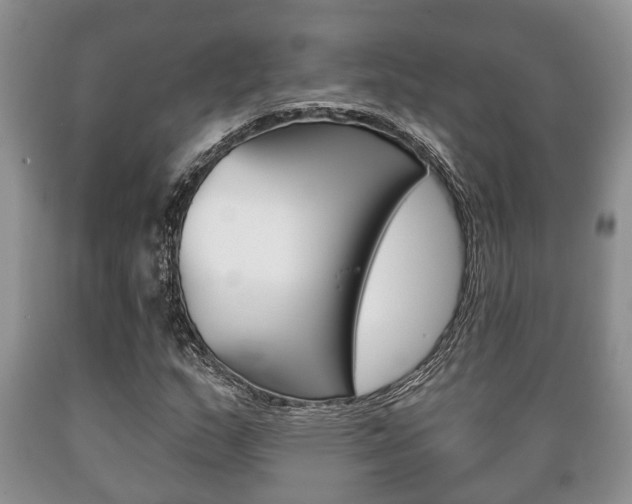 X0000089721159200706210847