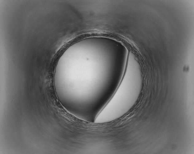X0000089721160200706210847