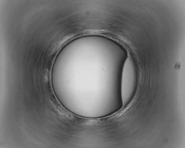 X0000089721161200706210847