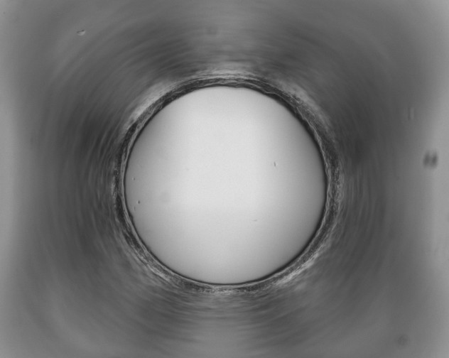X0000089721162200706210847
