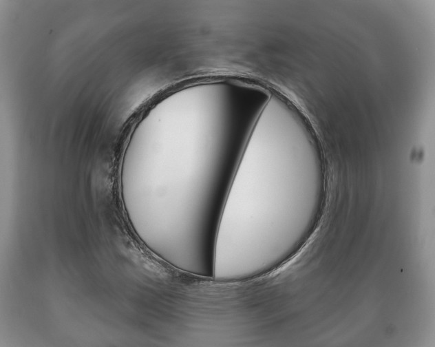 X0000089721163200706210847