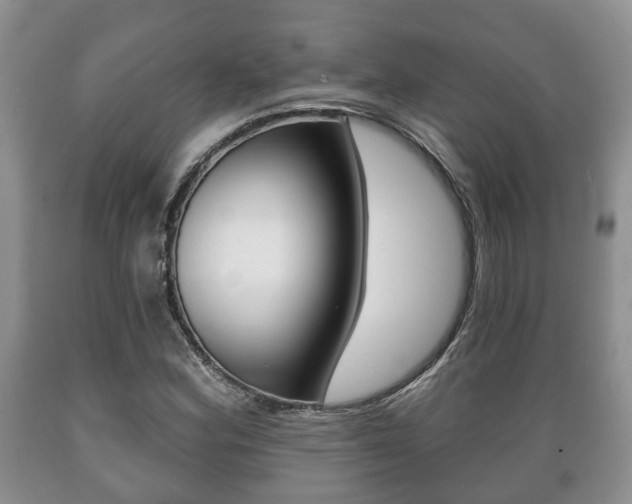 X0000089721164200706210847