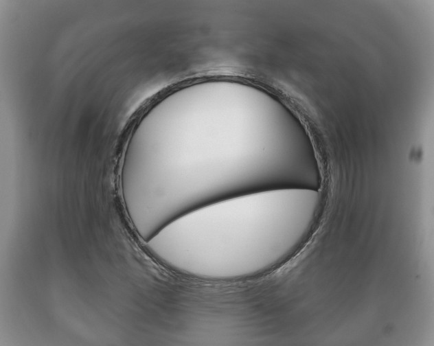 X0000089721166200706210847