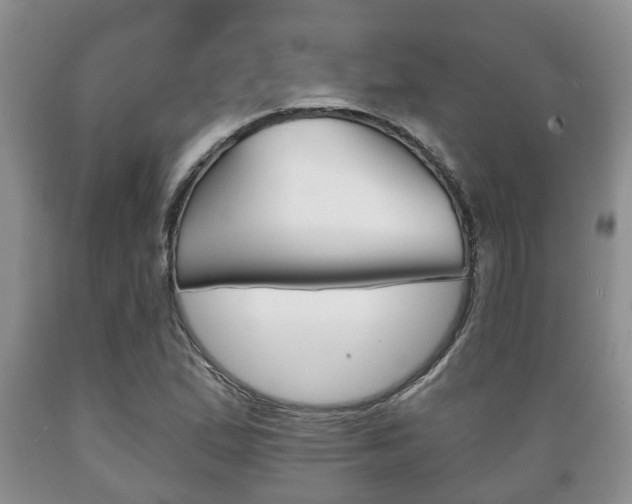 X0000089721167200706210847