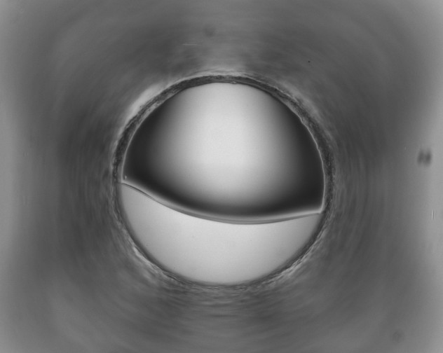 X0000089721168200706210847