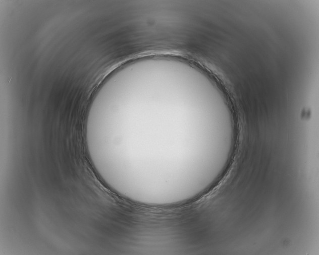 X0000089721169200706210847