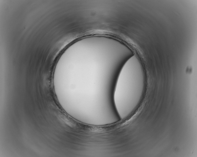 X0000089721170200706210847