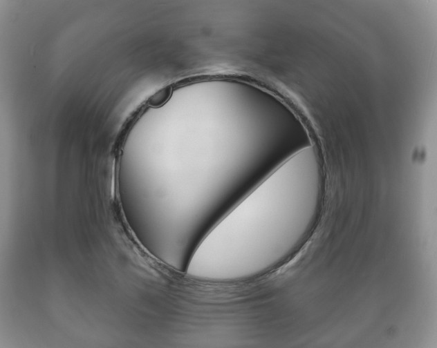 X0000089721171200706210847
