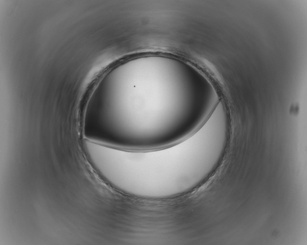 X0000089721172200706210847