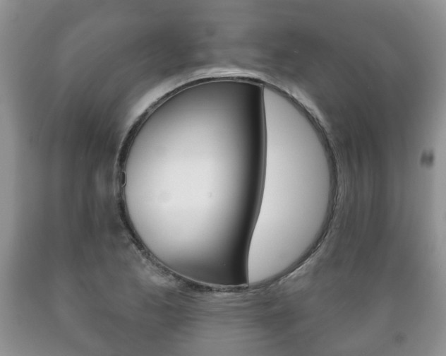 X0000089721173200706210847