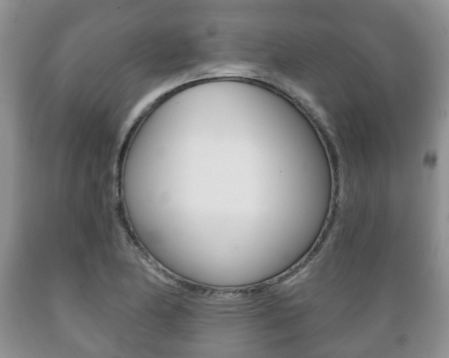 X0000089721174200706210847