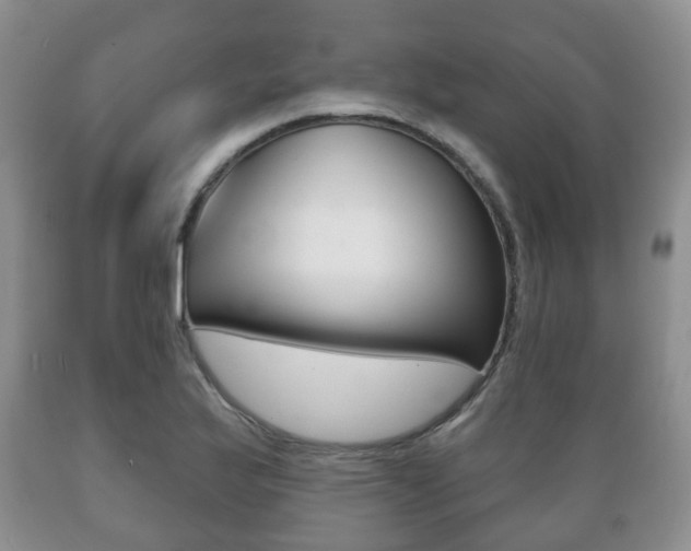 X0000089721175200706210847