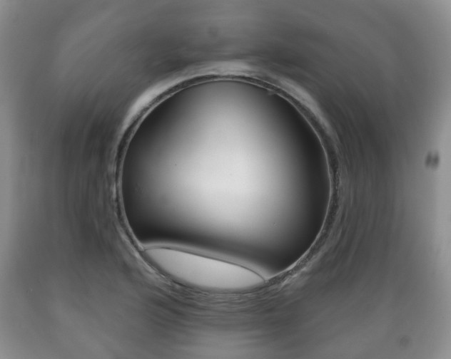 X0000089721176200706210847