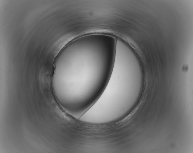 X0000089721177200706210847