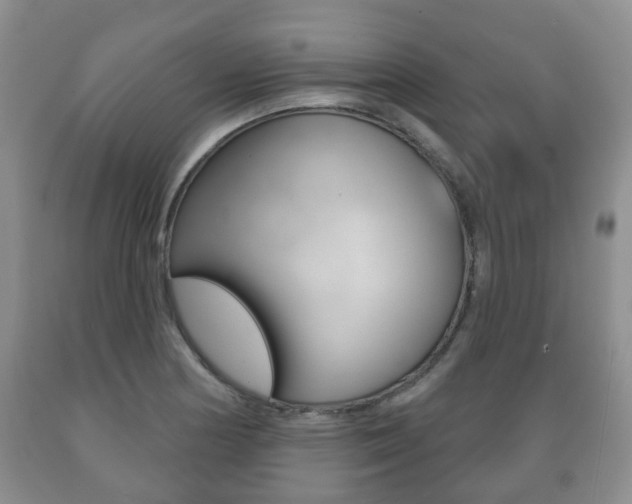 X0000089721178200706210847