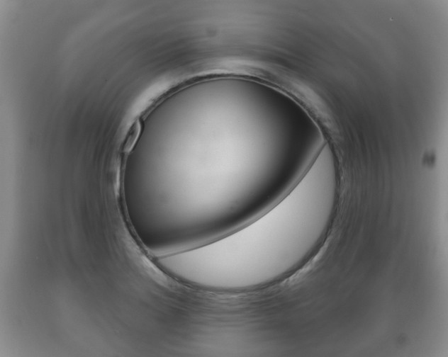 X0000089721180200706210847