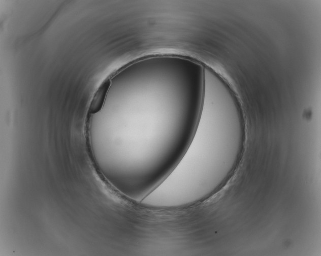 X0000089721181200706210847