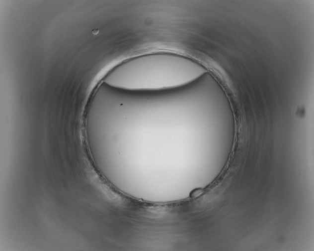 X0000089721182200706210847