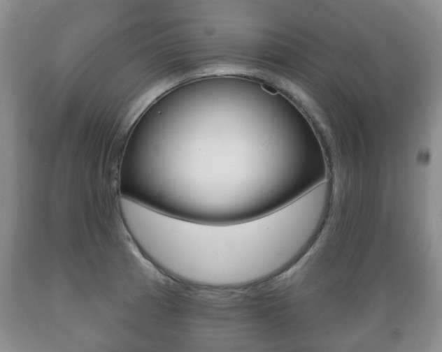 X0000089721185200706210847
