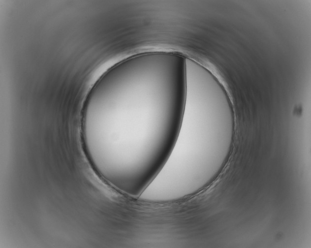 X0000089721187200706210847