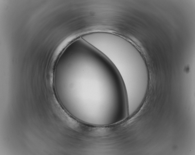 X0000089721188200706210847