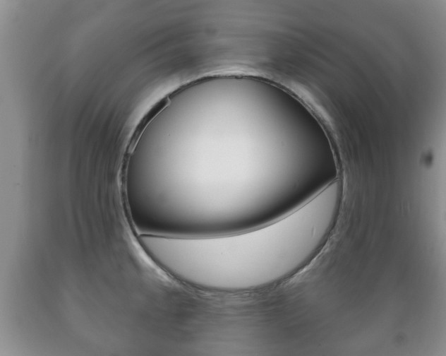 X0000089721189200706210847