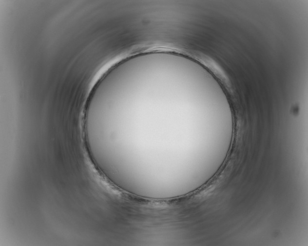 X0000089721190200706210847