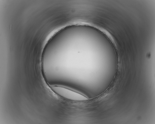 X0000089721191200706210847