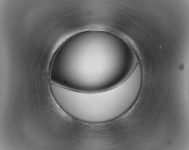 X0000089721192200706210847
