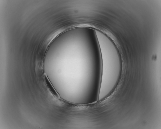 X0000089721193200706210847