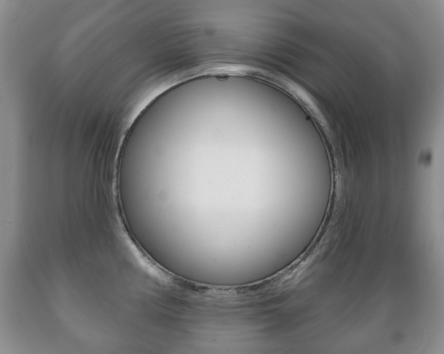 X0000089721194200706210847
