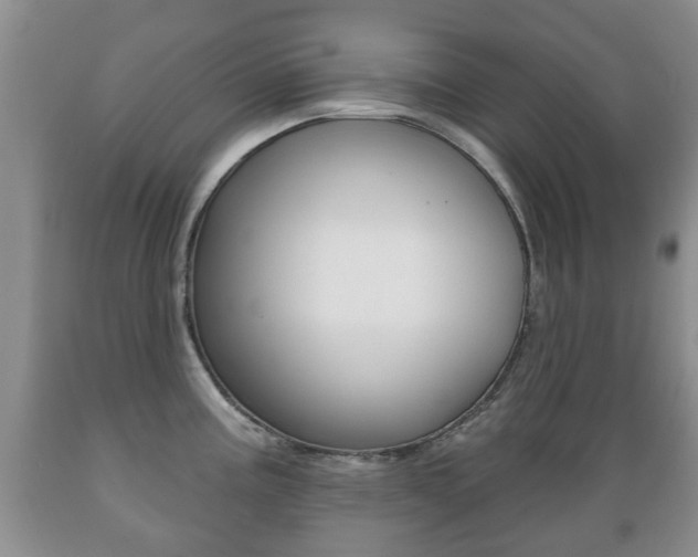 X0000089721195200706210847