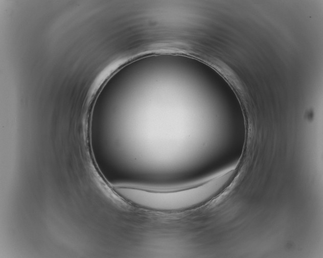 X0000089721196200706210847