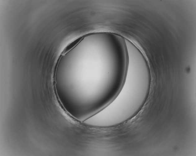 X0000089721197200706210847