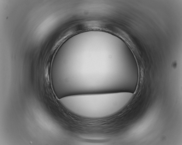 X0000089721198200706210846